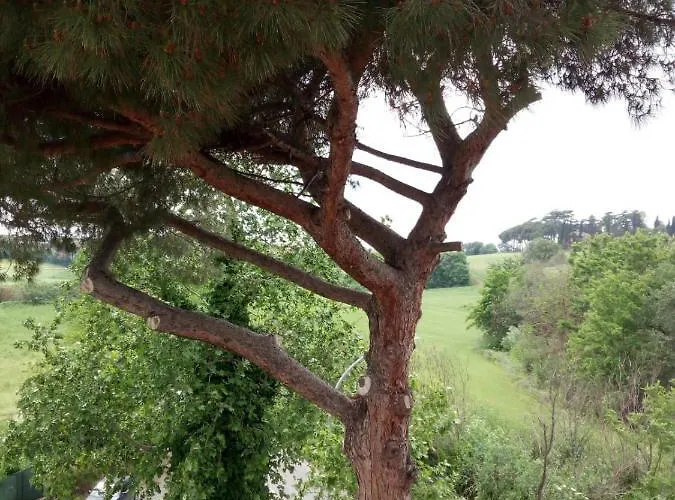 Guest house Casa Da Anna